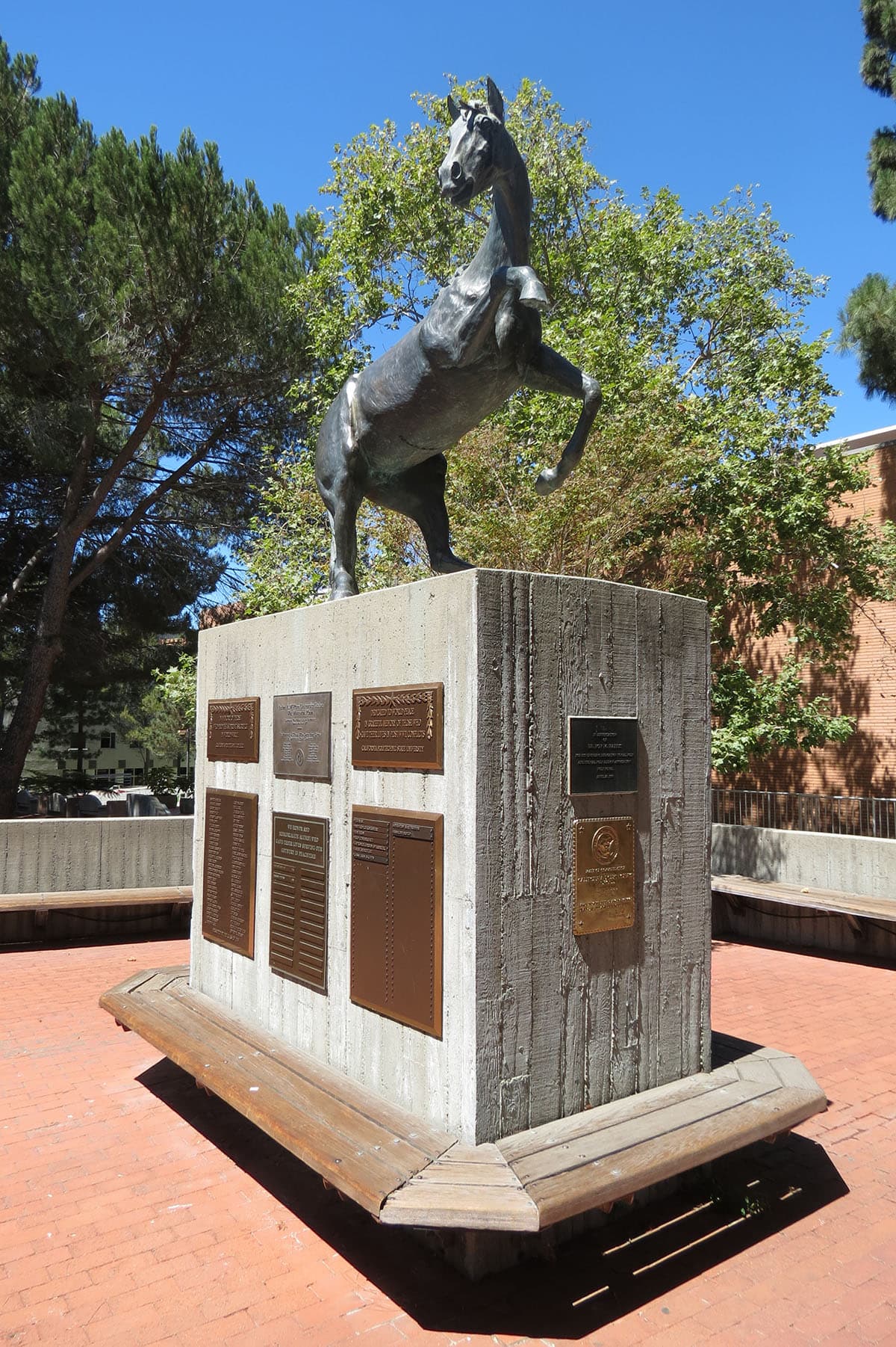 Cal Poly Scavenger Hunt and Escape Game perspective