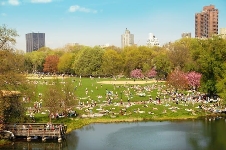 Central Park Outdoor Escape Adventure perspective