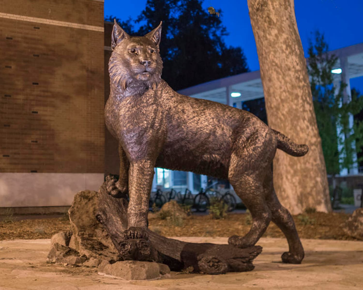 Wildcat Sculpture