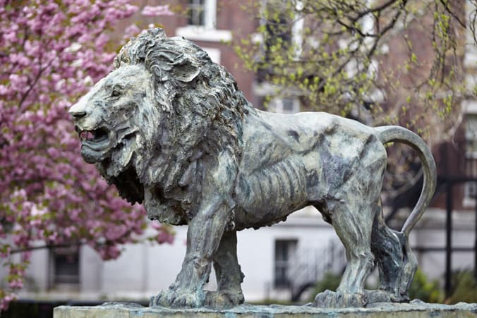 Columbia University Scavenger Hunt and Escape Game perspective