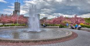 Academic Fountain