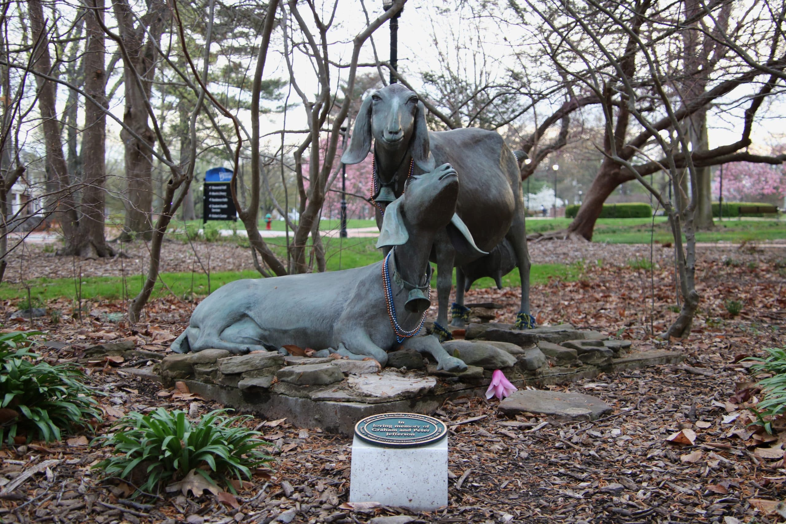 University of Delaware Scavenger Hunt and Escape Game perspective